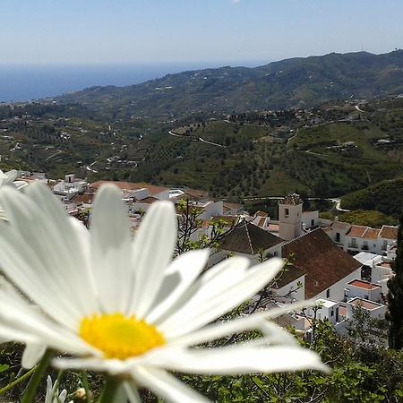 Casa Ana, Fantasticas Vistas A Frigiliana, El Mar Y La Montana Villa Kültér fotó